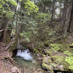 Washington: Happy Flats nature trail