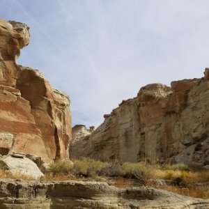 Wiregrass Canyon, UT 5