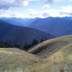 Hurricane ridge - PNW