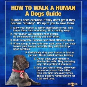 walk a human