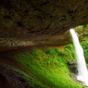 Silver Falls State Park,  Oregon