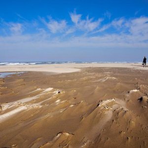 Carl Washburne State Park,  Oregon Coast