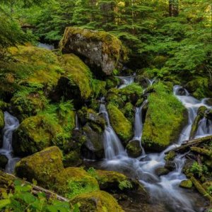 Stream Below Watson Falls, OR