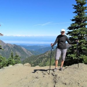 Hurricane Ridge Olympic National Park.