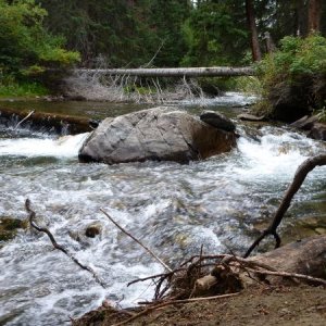 near rocky mountain area