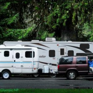 Hoh Rain Forest, Olympic NP