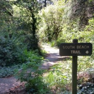 Harris Trail to Beach