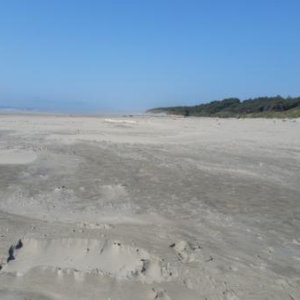 Beachside looking North