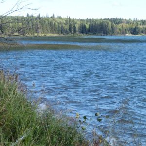 Lake at Riding Mountain