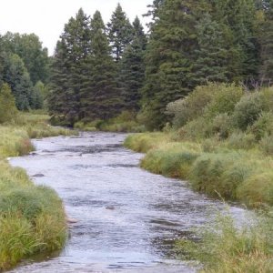 Jackfish Creek at Riding Mountain