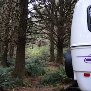 Camped at Charles G. Washburn SP, south of Yachats OR. 10.06.2015