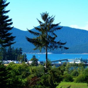 Anacortes from Ship Harbor Inn