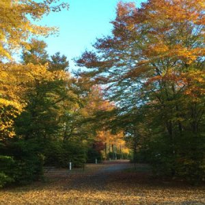 Lower Lake, Promised Land SP, Greentown, Pa. 2016