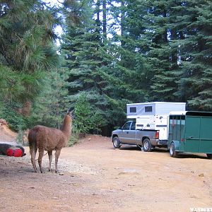 Trail head camp