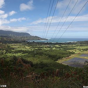 Hanalei Okolehao Trail