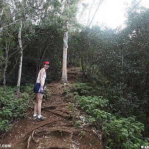 Steep Climb - Hanalei Okolehao Trail