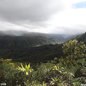 Hanalei Okolehao Trail