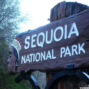 Welcome to Sequoia National Park!