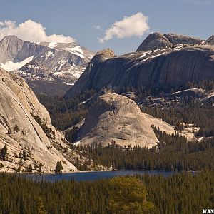 Tenaya Lake