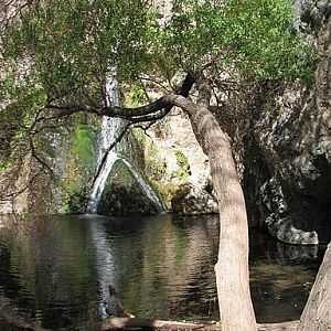 Darwin Falls