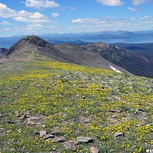 Summit of Avalanche Peak Trail - NPS.gov