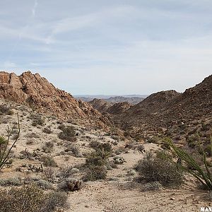 Lost Palms Oasis Trail