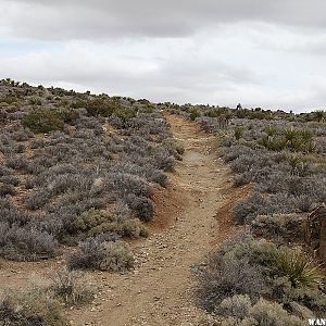 Lost Horse Mine Trail