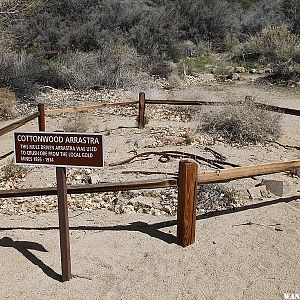 Cottonwood Spring