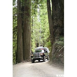 Smith River and Old Grove Redwoods