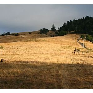 Friend's ranch in Kneeland