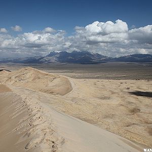 Kelso Dunes