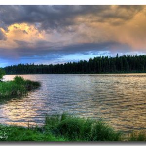 Fawn Lake,  British Columbia

sm DDM 7921