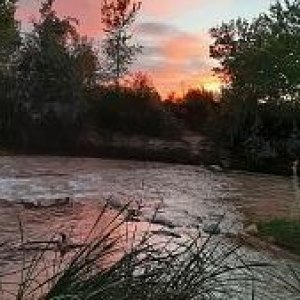 Zion River next to our pad at Zion RV Resort, UT