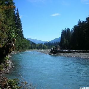 Hoh River Trail - August 2007