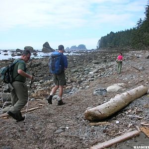 Coastline of Ozette Loop Trail - August 2007