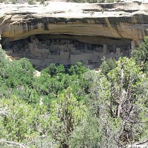 Cliff Palace in Spring