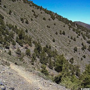 Telescope Peak Trail