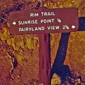 Sunrise at the Bryce Rim:  Which way to go?