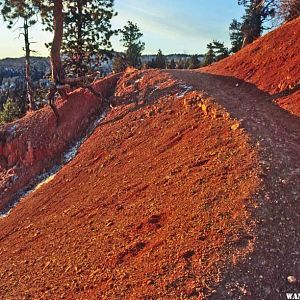 Bryce Canyon's Rim Trail at sunrise--red sun on red rock