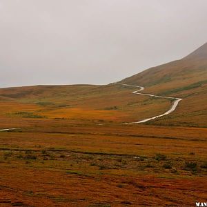 Road to Kantishna