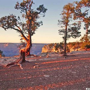 Sunset along the Rim