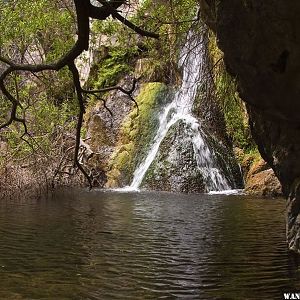 Darwin Falls