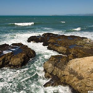 Tomales Bluff