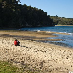 Heart's Desire Beach on Tomales Bay | Wander The West