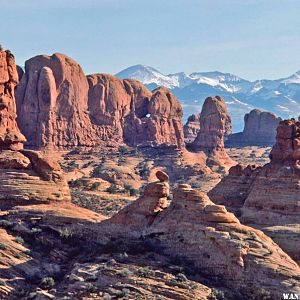 La Sal Mountains from Arches NP