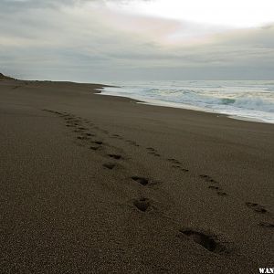 Point Reyes Beach as the Storm Subsides