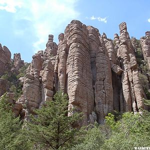 Stoned Columns