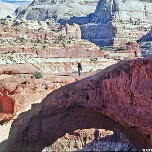 The view at Cassidy Arch