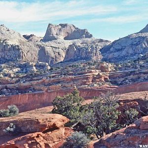 Looking north from the Cassidy Arch Trail