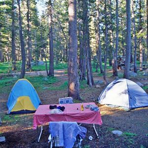 Tents in Tuolumne Meadows Campground